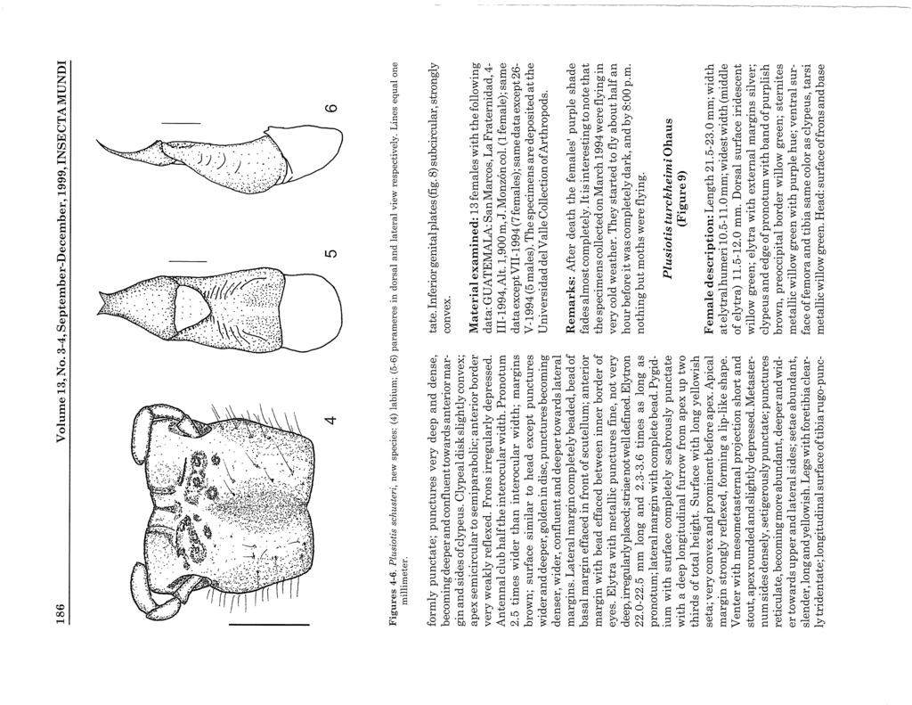 186 Volume 13, No. 3-4, September-December, 1999, INSECTA MUNDI 4 5 6 Figures 4-6. Plusiotis schusteri, new species: (4) labium; (5-6) parameres in dorsal and lateral view respectively.