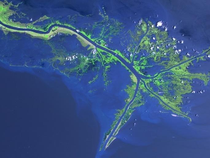 How can you describe and identify landforms like deltas, canyons, and sand dunes? From space, the mouth of the Mississippi River looks like separate blue fingers cutting through flat land.