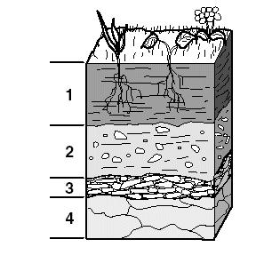22. This diagram shows a profile of soil layers. Which layer of soil would be affected the most by weathering and erosion?. 1. 2. 3.