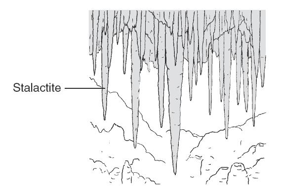 TKS Study Guide, #23 4. stalactite is a feature that hangs like an icicle from the roof of a cavern. How do stalactites in limestone caverns most likely form?