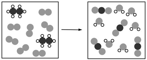 Black-White molecule + Gray-Gray