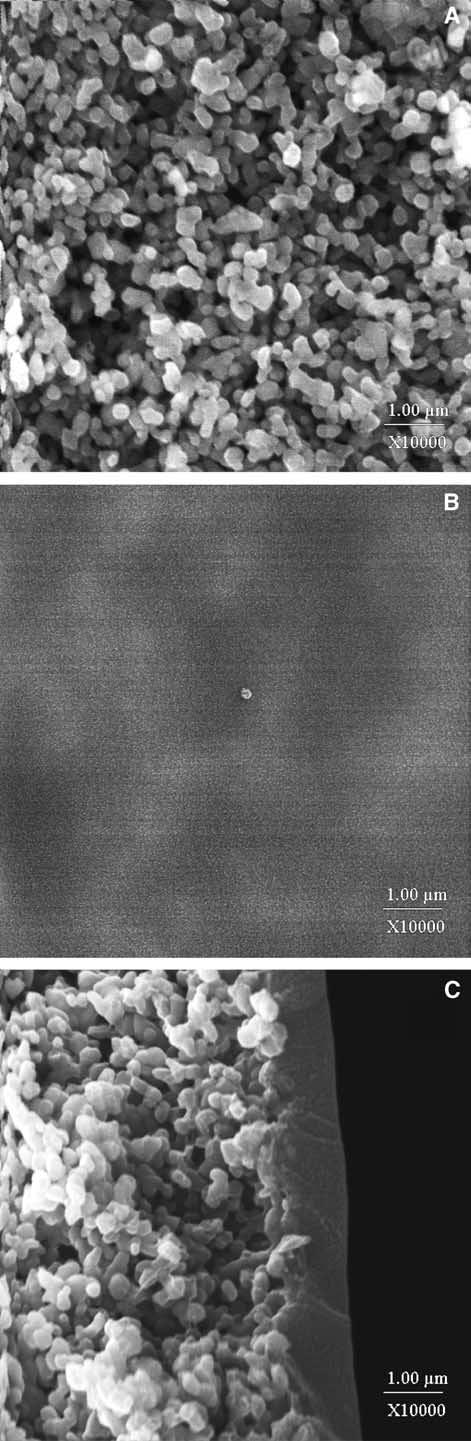G. Xomeritakis et al. / Microporous and Mesoporous Materials 66 (2003) 91 101 95 a 2D CCD detector (Bruker) with a resolution of 0.16 0.16 mm 2 pixel size, fixed at a distance of 39.