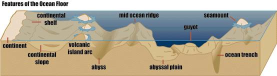 The Ocean Floor The ocean floor has higher