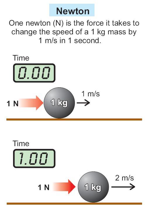 13.1 Units of force When you measure weight in pounds on a scale, you are measuring the force of