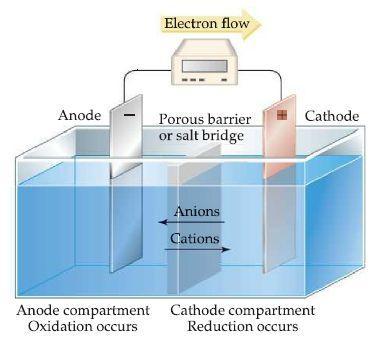 o A salt bridge consists of a U-shaped tube that contains an electrolyte, such as NaNO 3 (aq), whose ions will not react with other ions in the cell or with the electrode materials Anions always