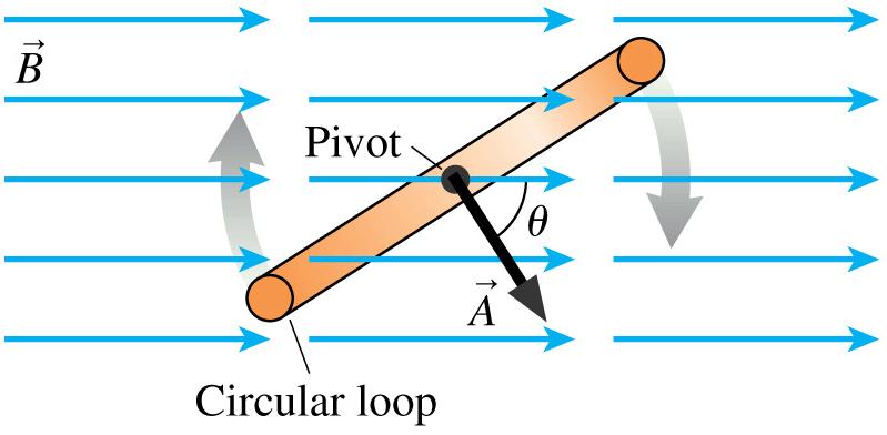 Example: A Circular Loop Rotating in a Magnetic Field The figure shows a 10 cm diameter loop rotating in a uniform 0.050 T magnetic field.