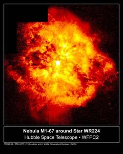 Rayet Stars Evolved high mass stars with powerful winds, lose mass at 10-5 solar masses