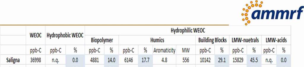 LC-OCD of WEOC after chemical treatment 15 LC-OCD of WEOC after chemical treatment Hydrophobic organic carbon was only detectable in
