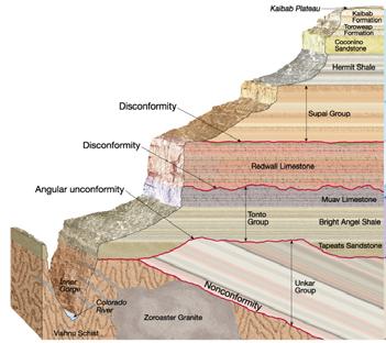 Limestone (Muav): Thin to thick-bedded, mottled limestone; cliff-forming; marine fossils Setting: Marine deposits, far from shore Redwall Limestone Disconformity Muav Limestone