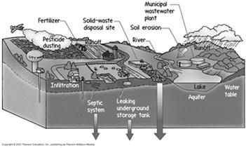 Aquifers are reservoirs of groundwater.