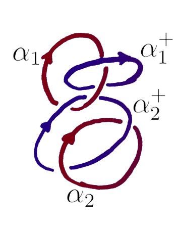 Figure 4: α 1 and α 2. Figure 5: α + 1 and α + 2.