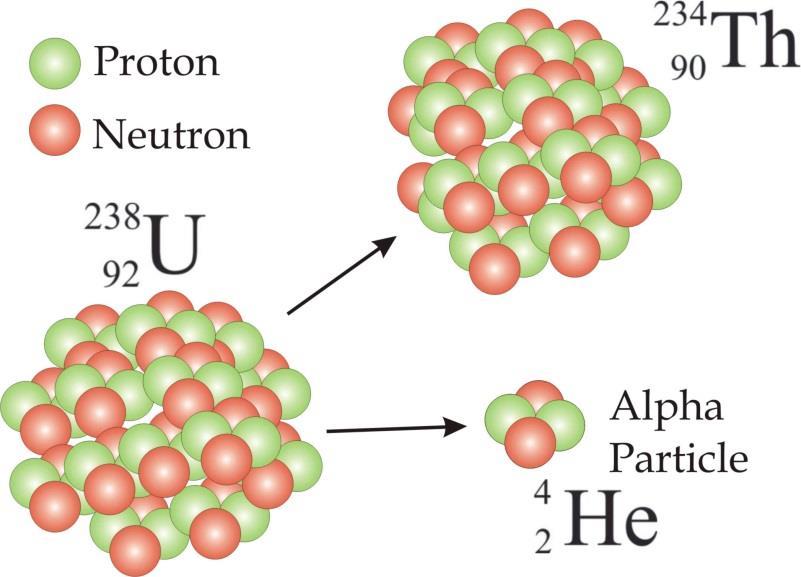 Alpha Decay When an unstable nucleus emits an alpha particle it undergoes alpha decay The resulting new nucleus is an isotope Example: Uranium-238 undergoes alpha decay Uranium-238