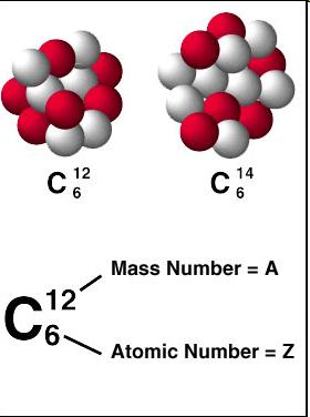 Isotopes Elements with the same number of protons, but different numbers of neutrons C 12 C 13 C 14 unstable