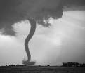 Tracks Tornadoes The,