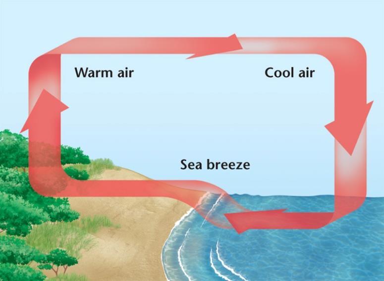 air over water. During the day, cool air over the ocean moves inland and creates a sea breeze.