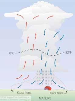 that causes cooler air from evaporation, triggering downdrafts