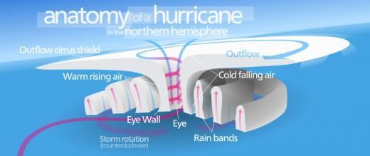 Features of a Hurricane EYE: The major feature within a hurricane is the eye, a small region of relatively calm and clear air in the centre, 15 kilometres or so across.