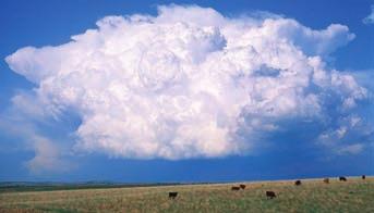 Figure 3.2 This cumulus cloud is growing as a result of unstable conditions. As the cloud continues to develop into a cumulonimbus cloud, a thunderstorm might develop.