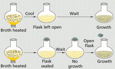 No life appeared in the sealed flask, while the open flask had bacterial