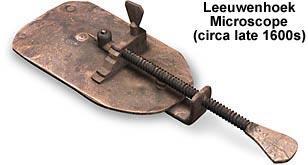 Antony van Leeuwenhoek designed his own microscope with a tiny simple lens.