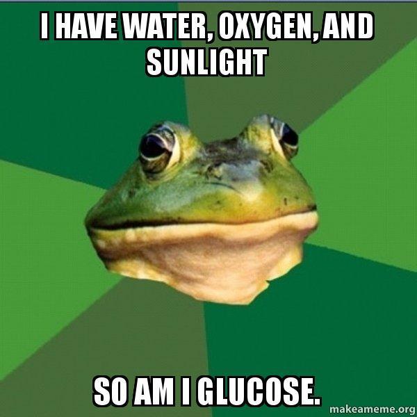 Glucose Glucose is a sugar C6H12O6 The typical formula for the break down in Glucose usually has