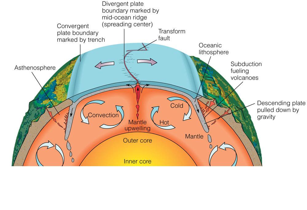 1. Hot magma upwells from mantle 3. Old crust is then pushed away from Mid-Ocean Ridge 2.