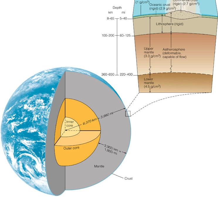 Crust (outermost layer): rigid & very thin Mantle: dense, hot layer of