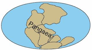 continent (Pangea) One world ocean