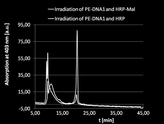 Fig. S 13 FPLC chromatograms of negative control reactions: (A) incubation of PE-DNA1 and HRP-Mal for 16 h in the dark; (B) irradiation of PE-DNA1 and HRP for 16 h at 320 nm; (C) irradiation of DNA1