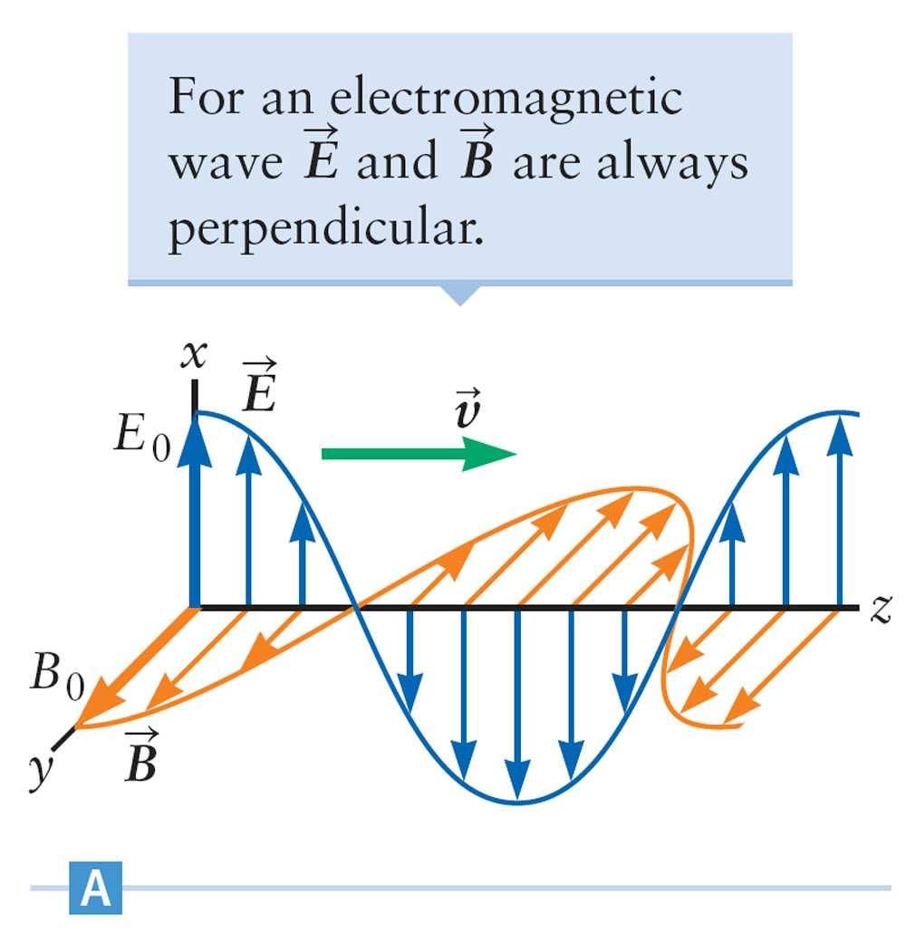 Electromagnetic Waves If an electric field wave oscillates north and south (horizontally), and the electromagnetic wave is traveling vertically straight up, then what direction