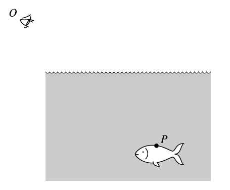 Question 10 A fish swims below the surface of the water at P.