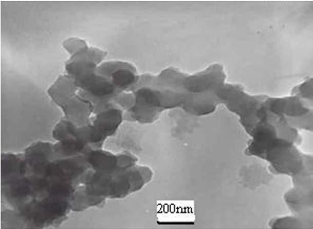 54 M. Aghazadeh et al., J. Appl. Chem. Res., 7, 3, 47-55 (2013) Figure 7. TEMof polyaniline-co nanocomposite. Conclusions Polyaniline cobalt nanocomposite has been synthesized by hydrothermal method.