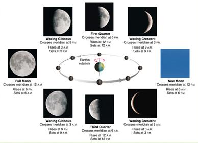 Lunar Phases The appearance of the