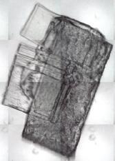 An example of ATR imaging is shown in Figure 2. These results show that even the very thin polyurethane adhesive layers could be distinguished.