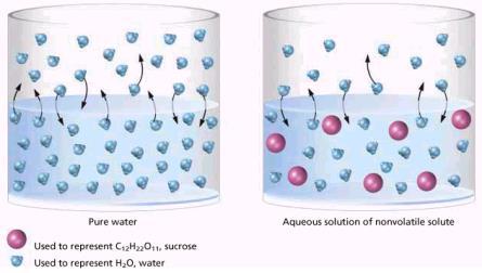 When we dissolve something in water, the water molecules surround the solute particles and weakly bond to them (IMAF s).