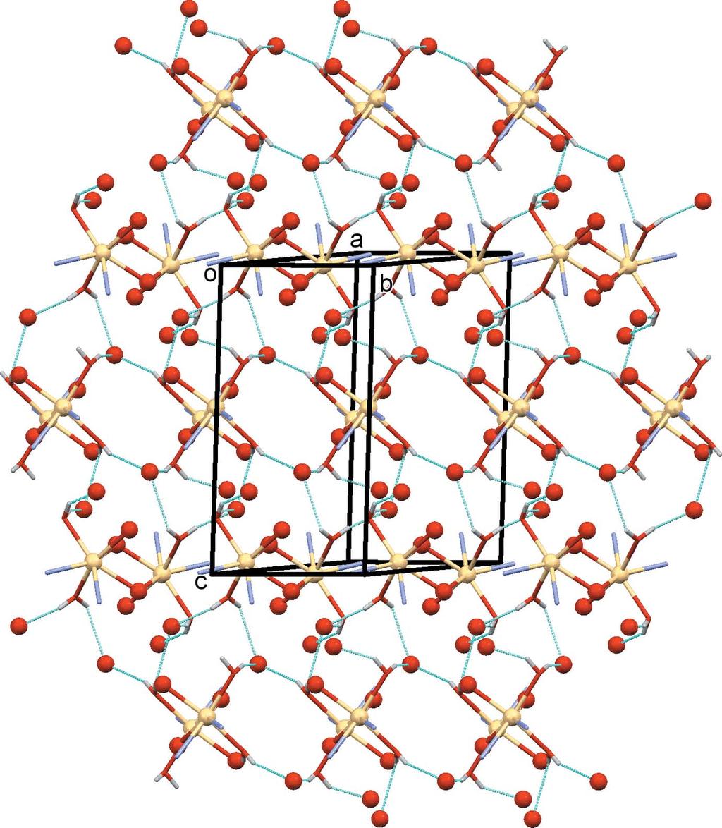 Supramolecular features In the crystal, the two-dimensional polymer networks lie parallel to the bc plane, as illustrated in Figs. 2 and 3.