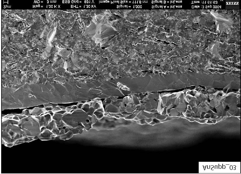 Microstructural Analyses SEM of anode