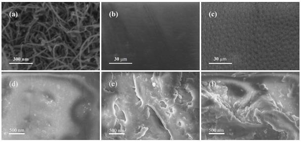 10 Morphologies of Nanocomposite Membranes SEM images of O-MWCNTs and nanocomposite cation exchange membranes (a) oxidized multi-walled carbon nanotubes; (b) pristine SPPO; (c) 0.