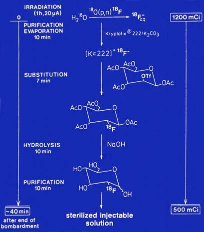 Flow Sheet of Production of Short-lived PET Radiopharmaceuticals nuclear reaction in-situ recoil on-line synthesis off-line synthesis ACCELERATOR TARGET PRECURSOR INTERMEDIATE FINAL PRODUCT