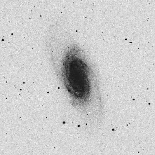 NGC 2903!