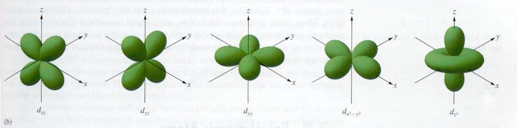 d orbitals (five per energy