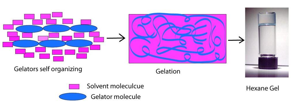 Low Molecular Weight Gelators (LMWGs) A class of small molecules that can form gels in