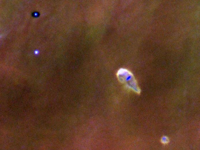 HST 16 Irradiated proto-planetary disks in Orion Jets from