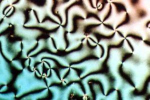 Liquid Crystal - Liquid crystals (LCs) are a state of matter that have properties between those of a conventional liquid and those of a solid crystal.