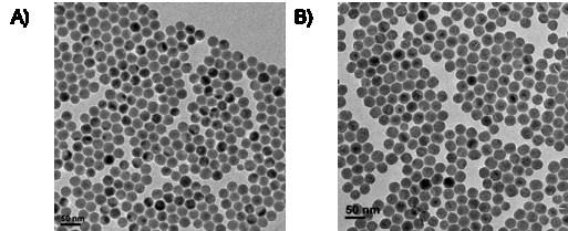 Fig. S3 TEM images of A) NaYF4:Yb 3+ /Tm 3+ core nanoparticles