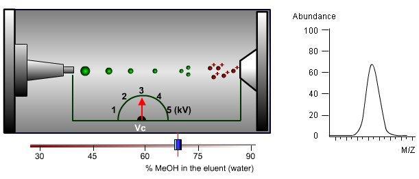 i Increasing eluent methanol content leads to more efficient droplet desolvation.