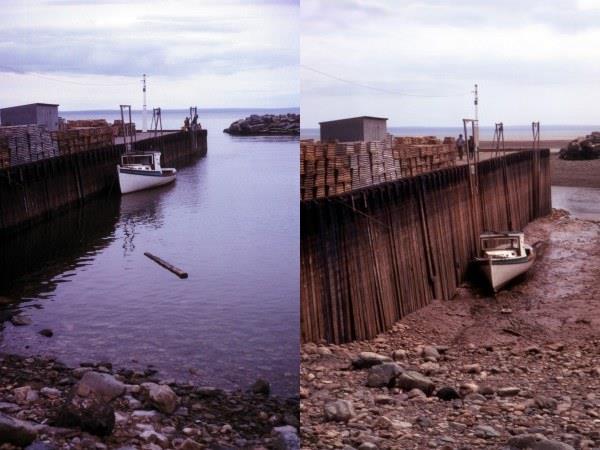 The same location in the Bay of Fundy at