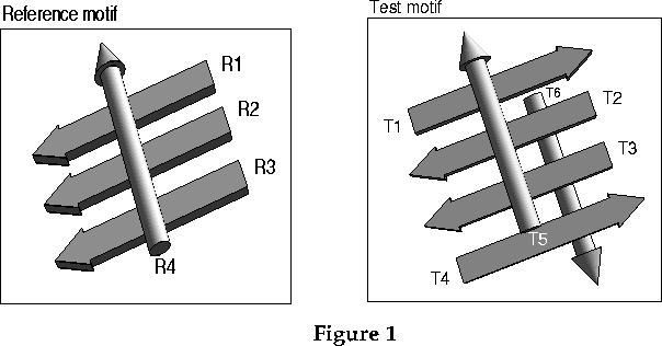 7.. Superpose Folding Motif Superposing Folding Motifs A simple example of the problem of superposing two similar, but not identical, structure motifs is shown in Figure 1.