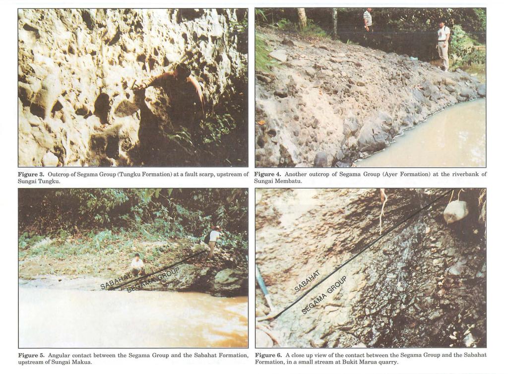 Figure 3. Outcrop of Segama Group (Tungku Formation) at a fault scarp, upstream of Figure 4. Another outcrop of Segama Group (Ayer Formation) at the riverbank of Sungai Tungku. Sungai Membatu.