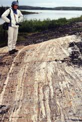Oldest Rocks Found on Earth Acasta Gneiss from the Canadian